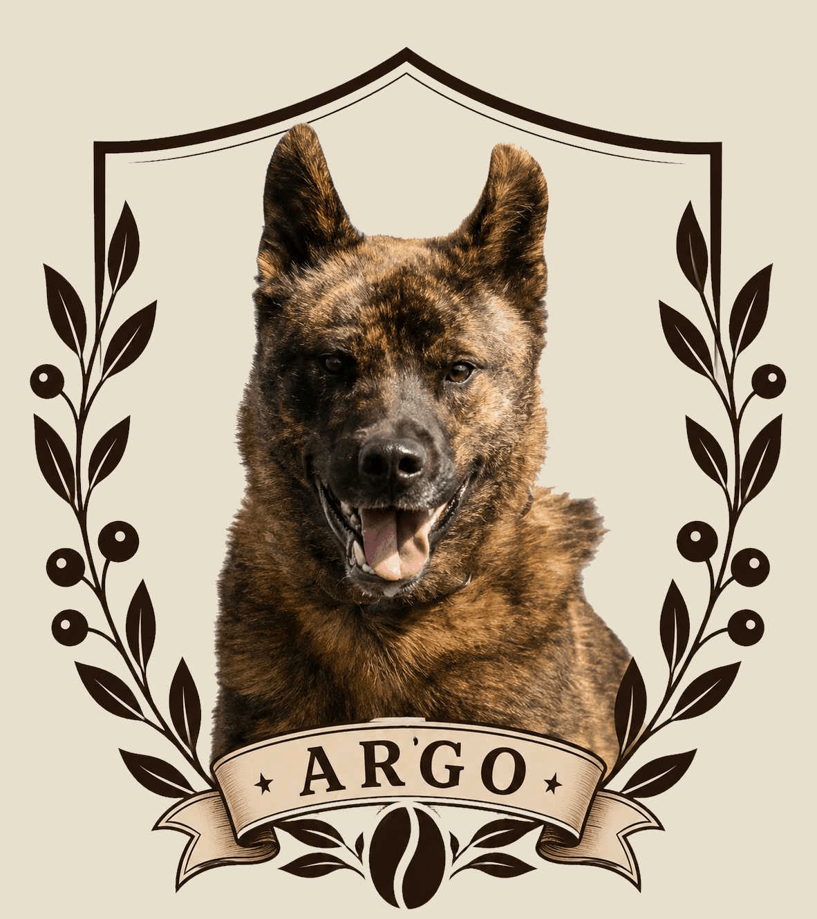 Argo, mascot at Royal Specialty Coffee